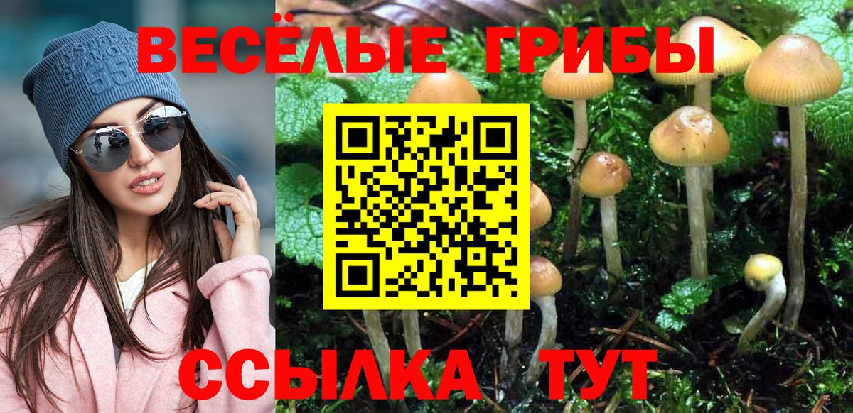 Таганрог  Галлюциногенные грибы мицелий  Вход с VPN 
