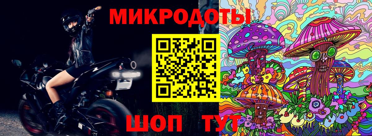 Псилоцибиновые грибы Psilocybe  Таганрог 