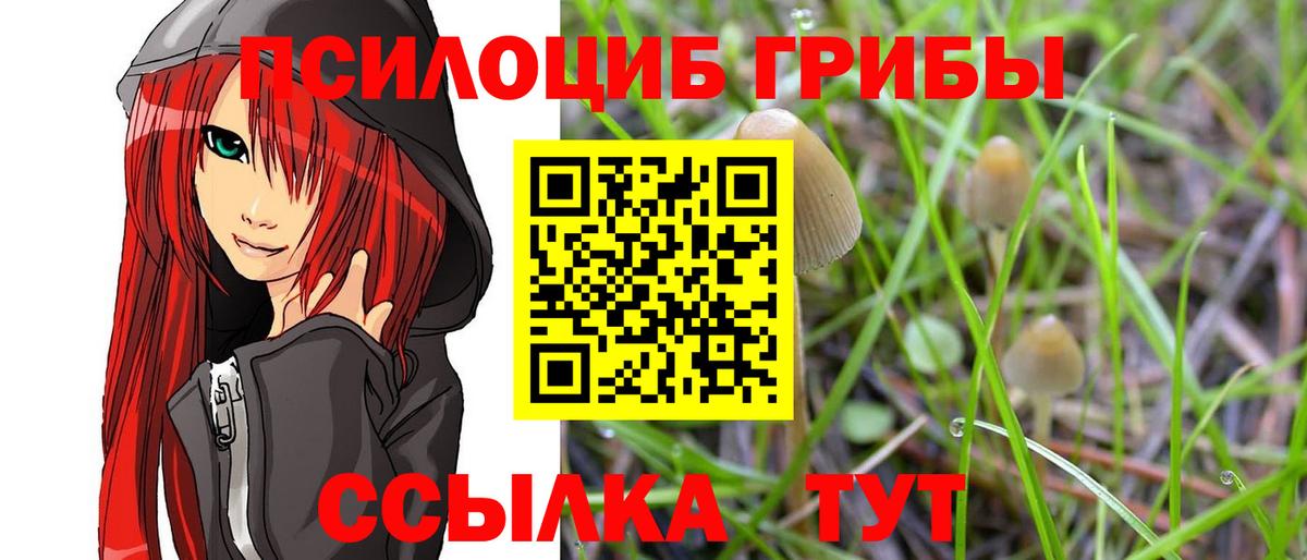 Псилоцибиновые грибы Magic Shrooms Таганрог