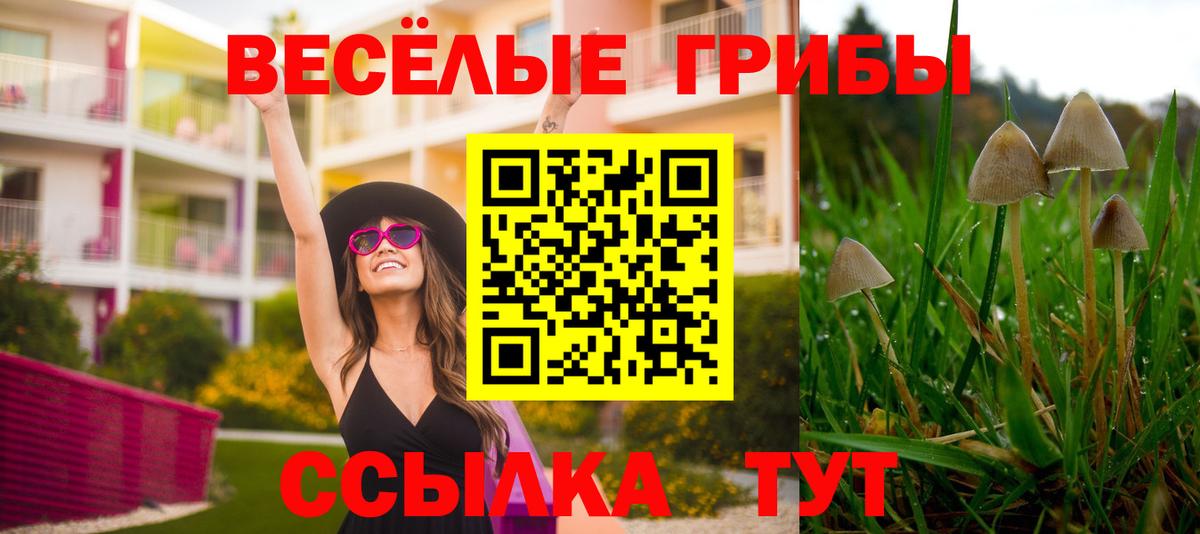 Псилоцибиновые грибы GOLDEN TEACHER Таганрог
