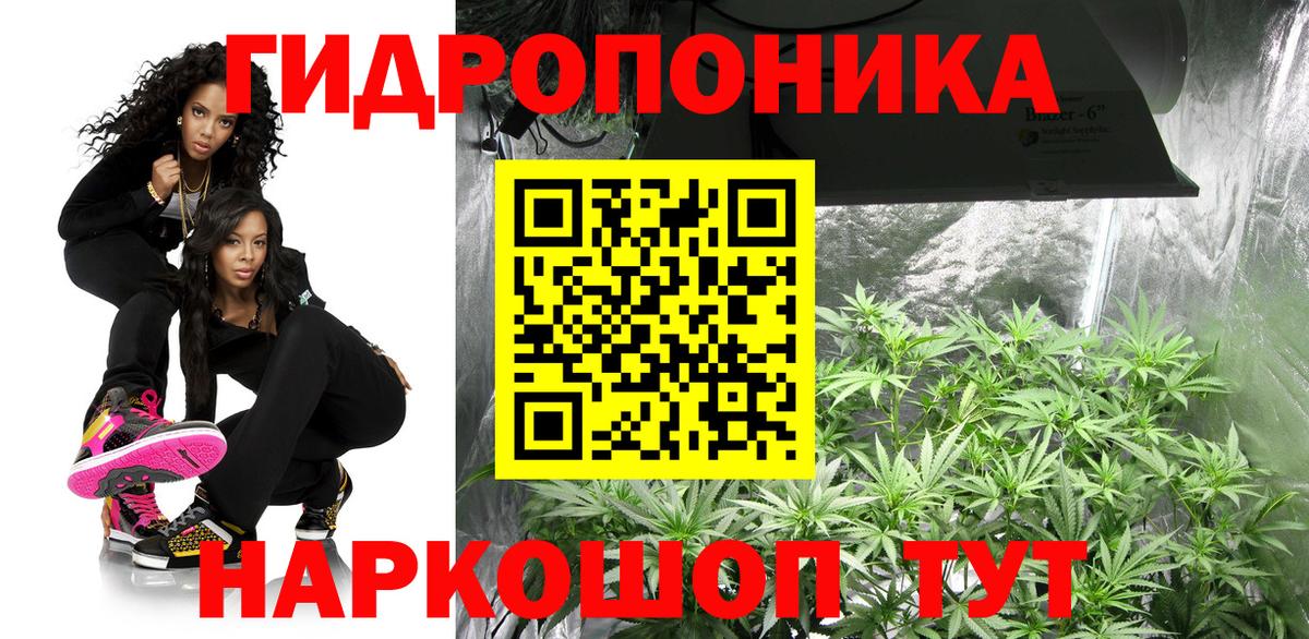 Конопля план  Бошки марихуана ГИДРОПОН  Вход с VPN  Таганрог  Марихуана White Widow 